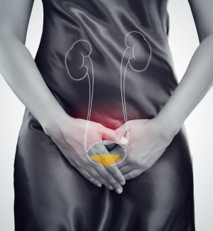 Blase, Niere und Prostata